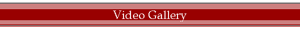 Video Gallery